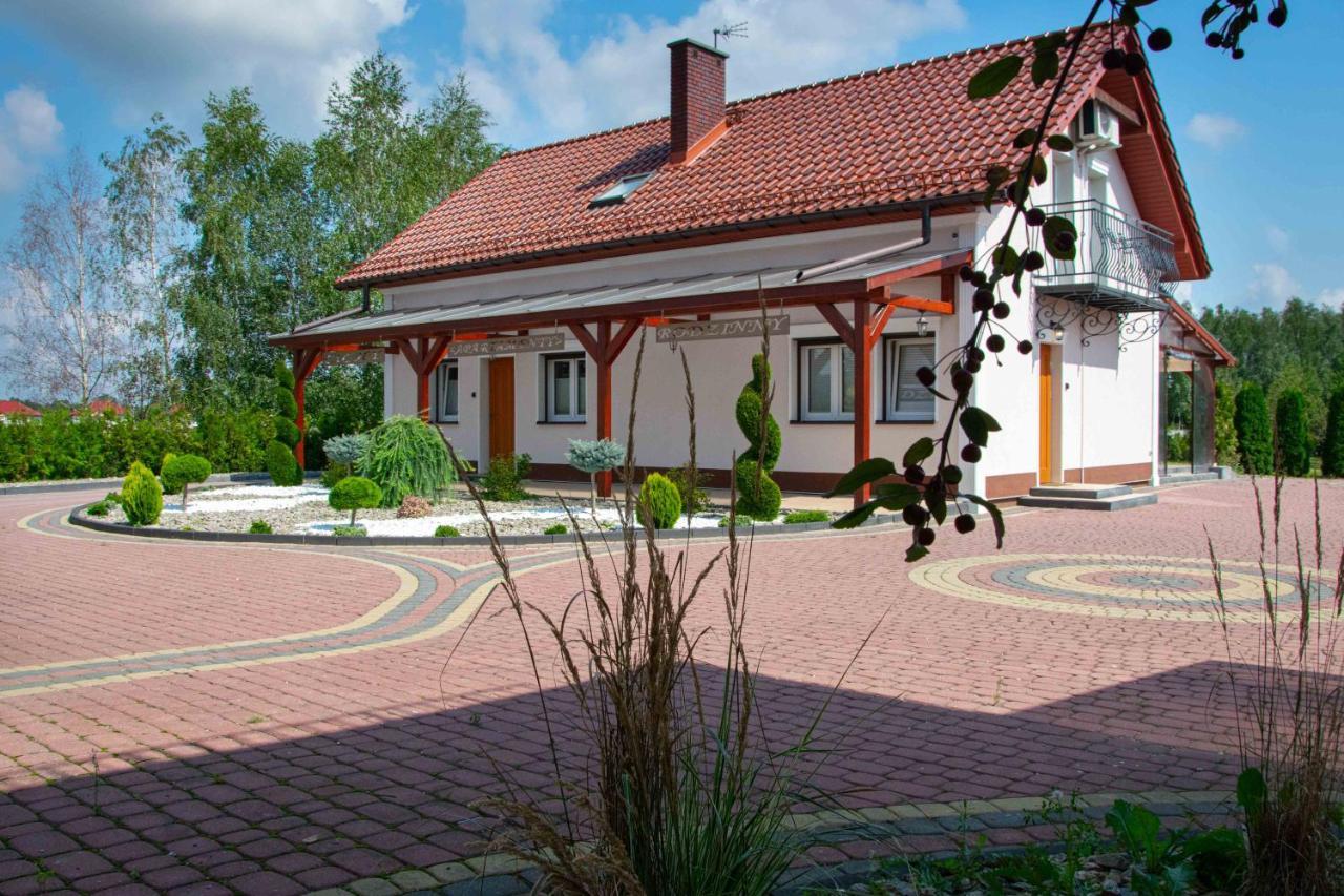 Rezydencja Elzbiecin Busko-Zdrój Extérieur photo